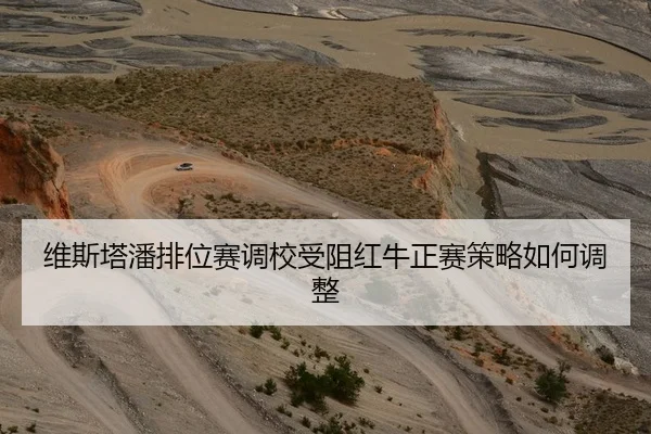 维斯塔潘排位赛调校受阻红牛正赛策略如何调整